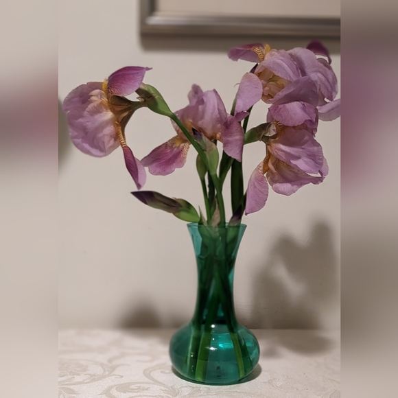 Meet your Posher, Lennie T - Picture 2 of 2